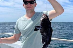 358083293 140470342419355 n